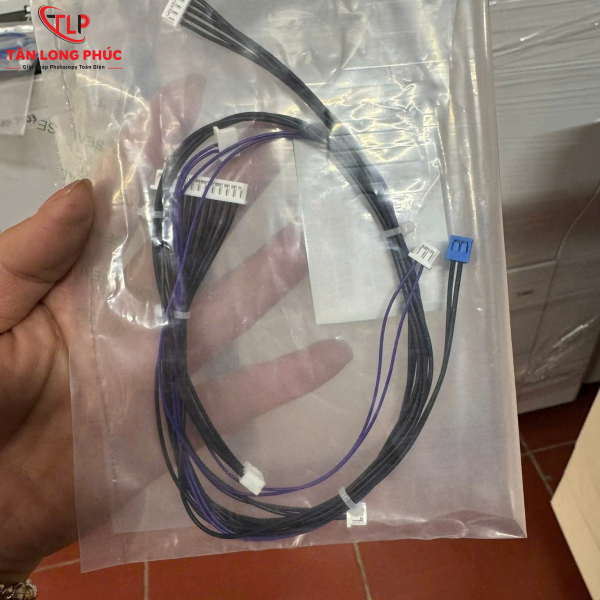 Dây Điện Khung Drum Ricoh MP